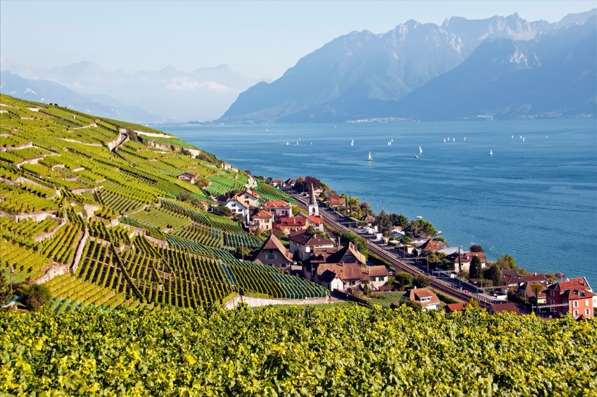 Terraced vineyards of Lavaux running down to a village on the shore of Lake Geneva, with the Alps behind