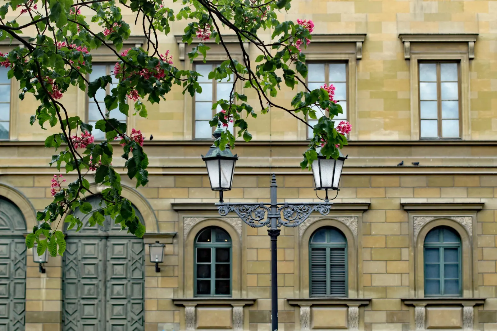 Classical stone façade with a wrought-iron street lamp and branches of a chestnut tree in blossom