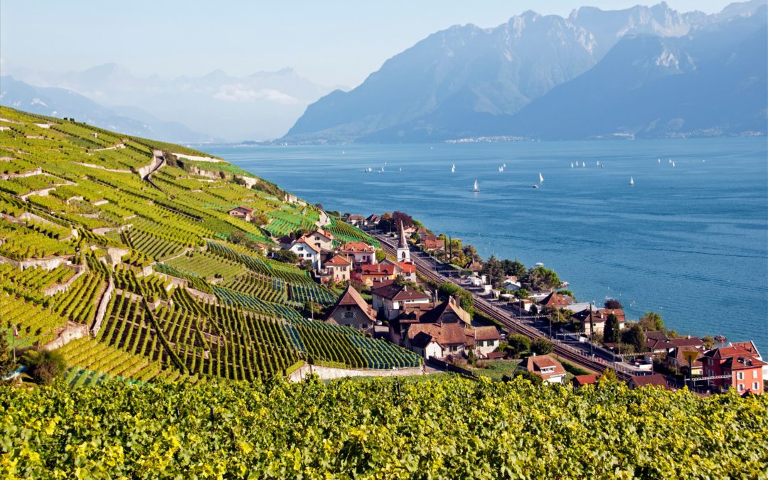 L’élégance du Lavaux entre vignes et lac