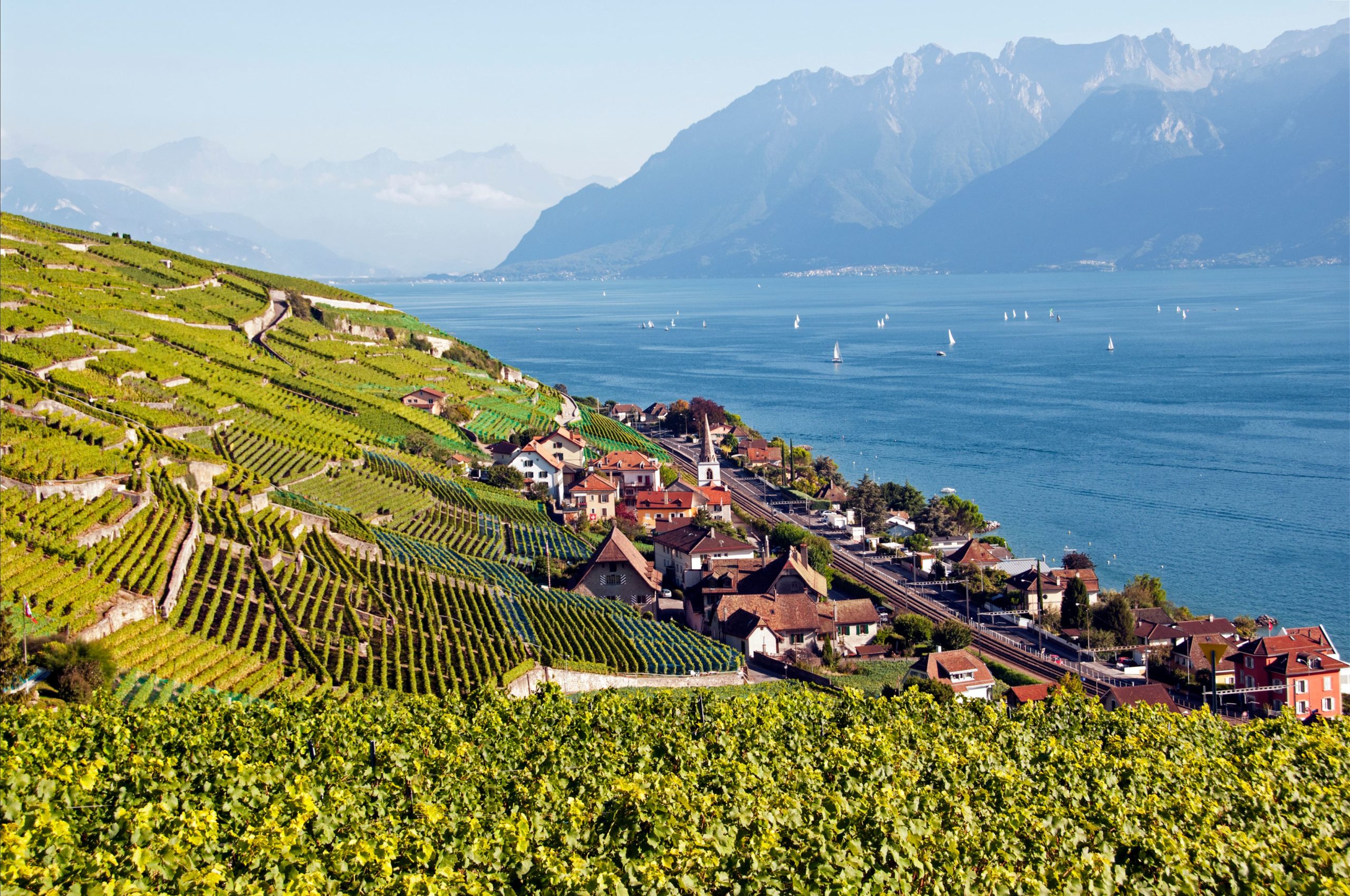 Les vignobles en terrasses du Lavaux dominant le lac Léman, classés au patrimoine mondial de l’UNESCO